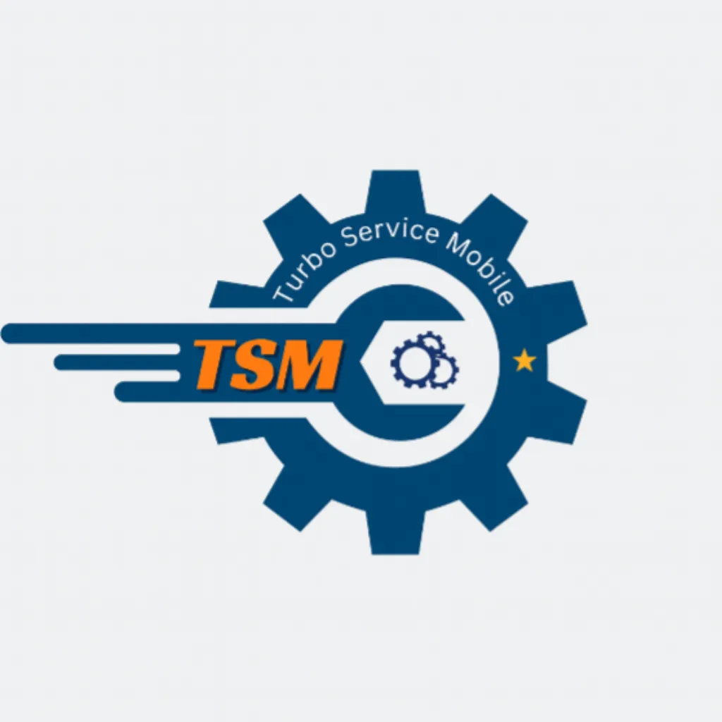 TSM-Pro 12 Months
