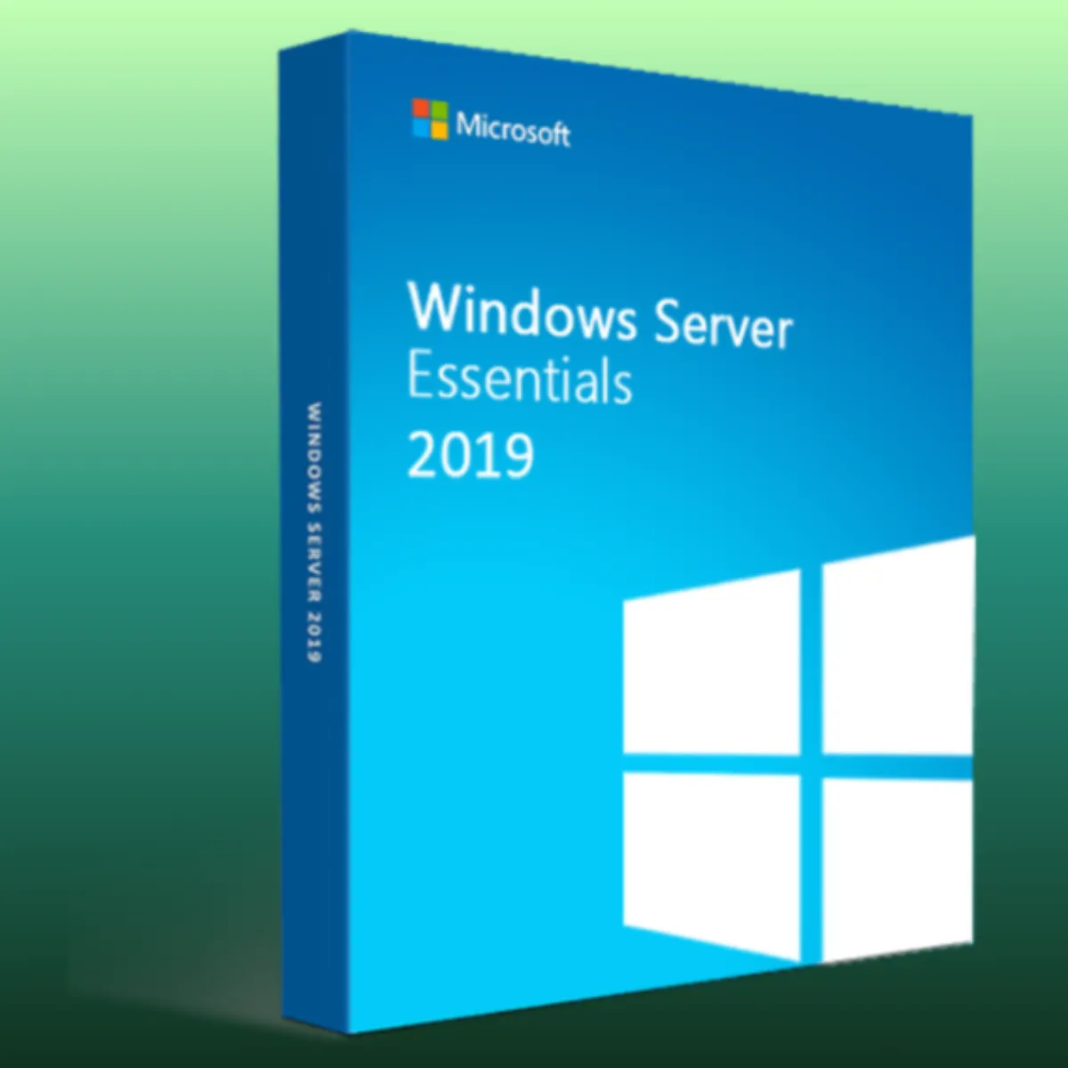 Microsoft Windows Server 2019 Essential - 1 PC