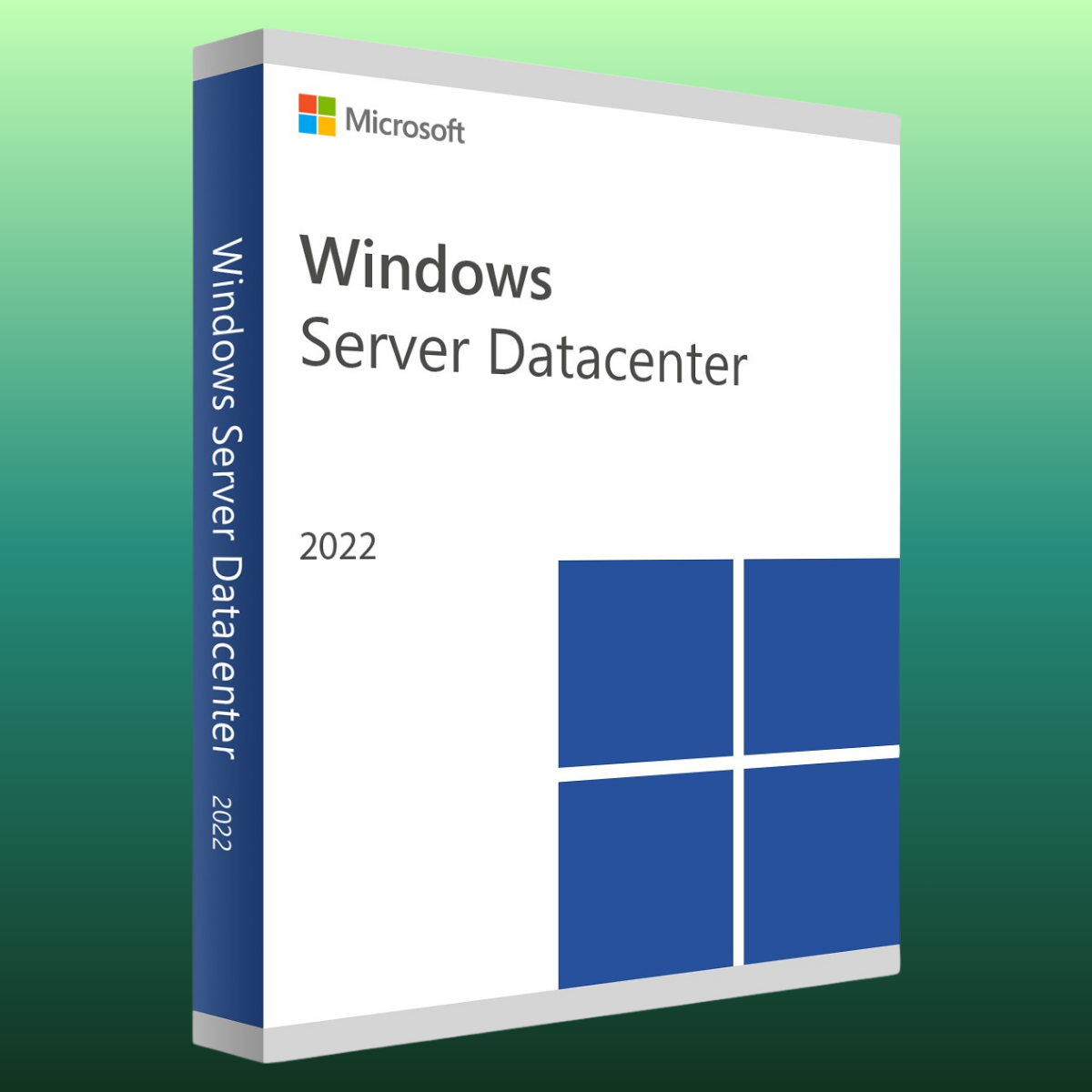 Microsoft Windows Server 2022 Datacenter - 1 PC