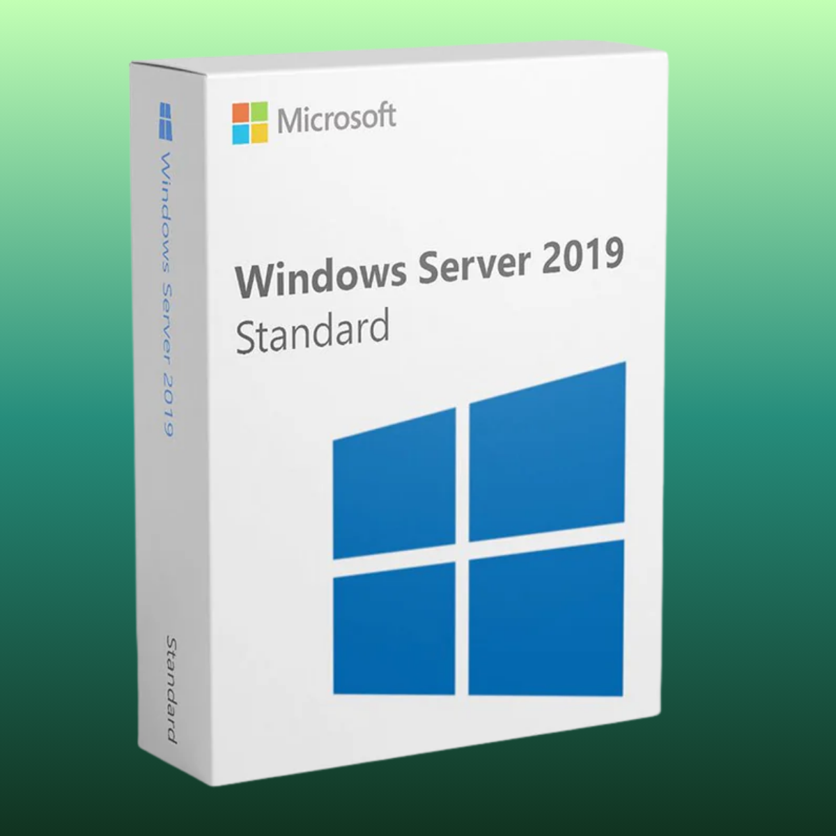 Microsoft Windows Server 2019 Standard - 1 PC