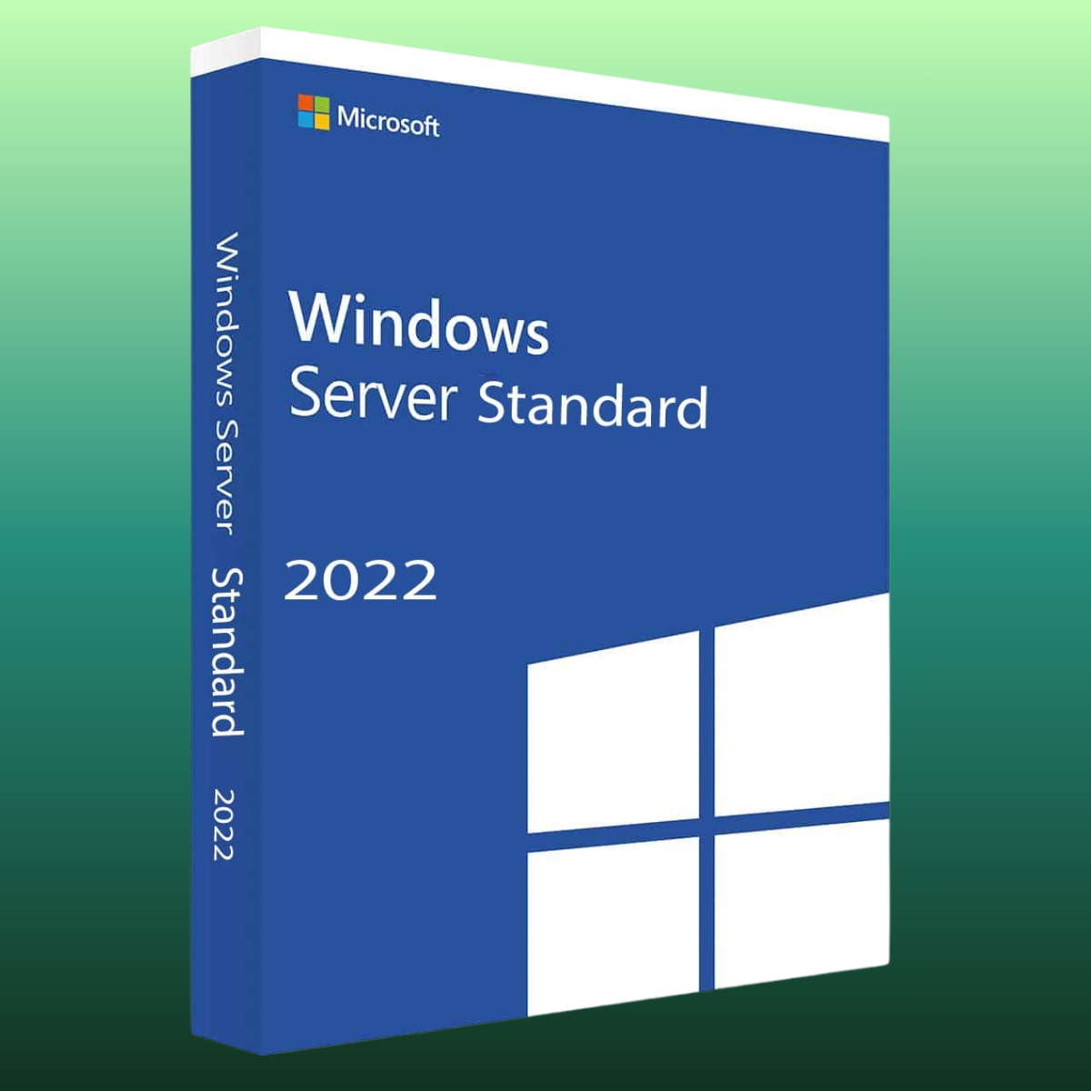 Microsoft Windows Server 2022 Standard - 1 PC