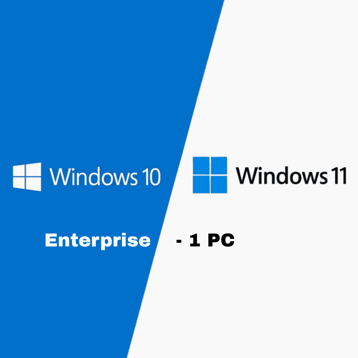 Microsoft Windows 10 / 11 Enterprise - 1 PC