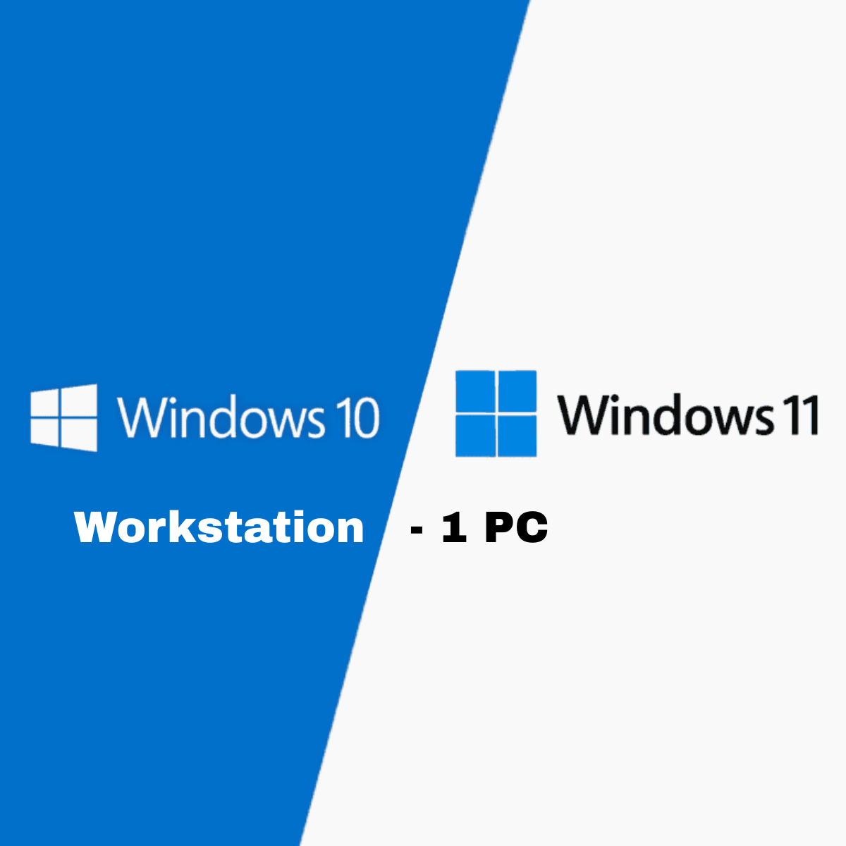 Microsoft Windows 10 / 11 Workstation - 1 PC