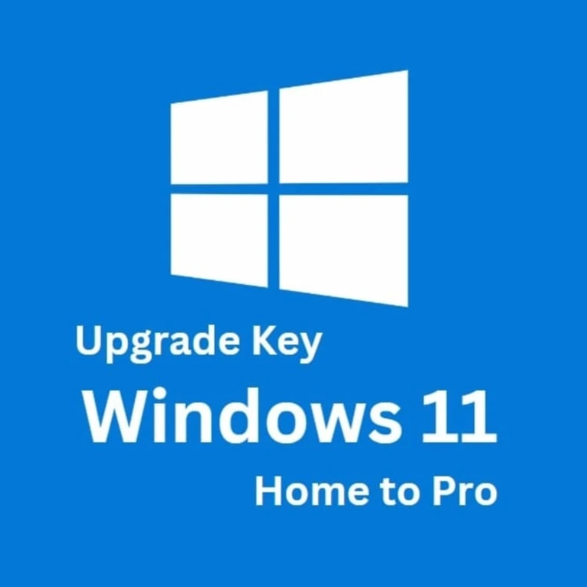 Microsoft Windows 10 / 11 Home Upgrade Pro - 1 PC