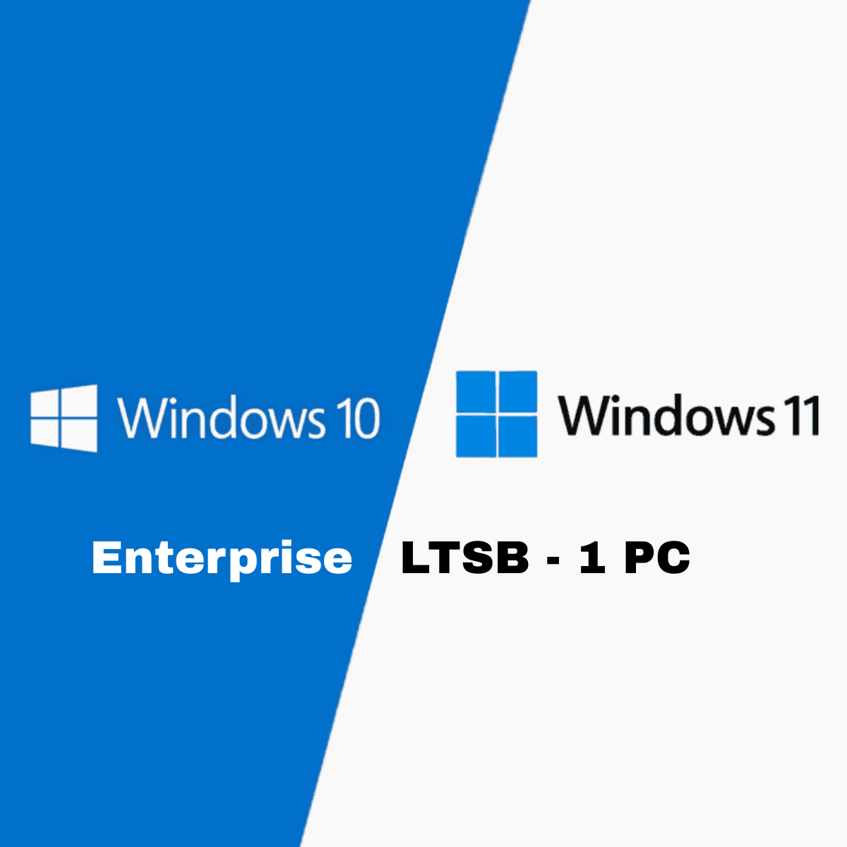 Microsoft Windows 10 / 11 Enterprise LTSB - 1 PC