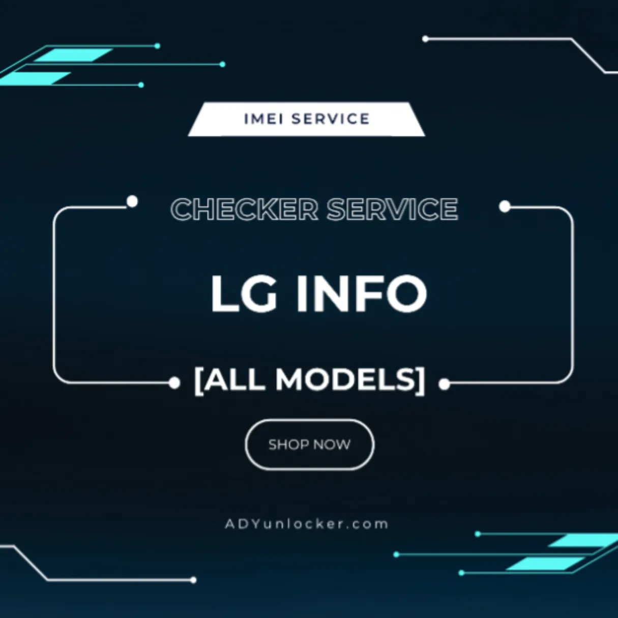 LG INFO