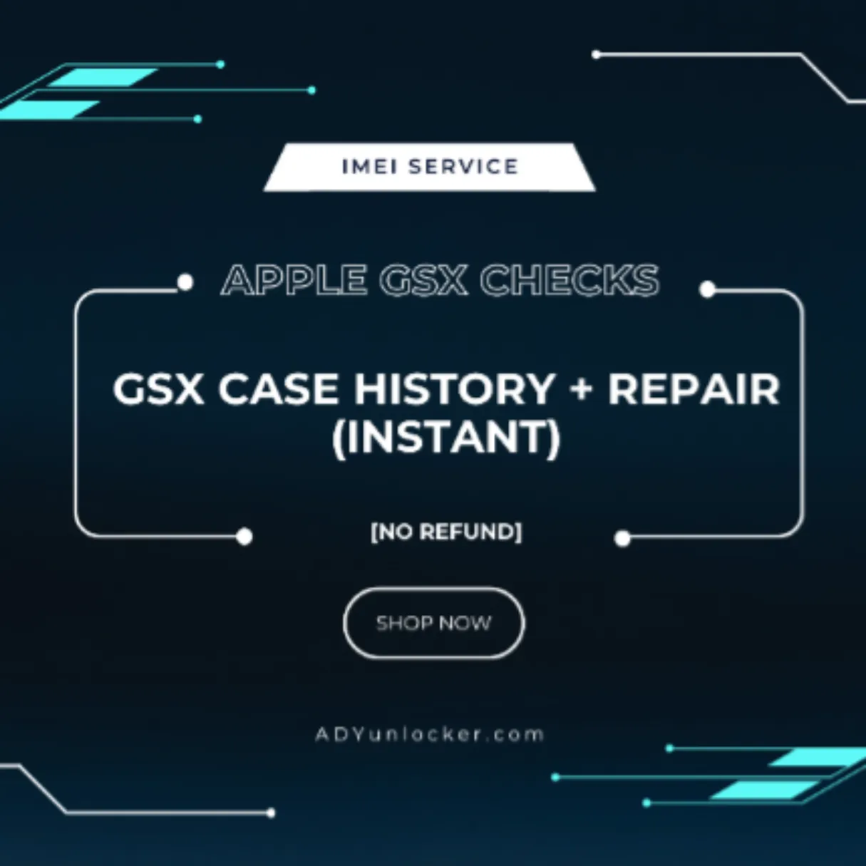 GSX Case History + Repair (Instant)