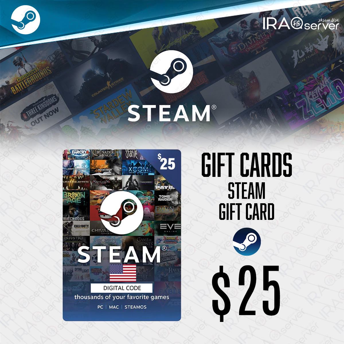 Steam Cards 25$ (USA)