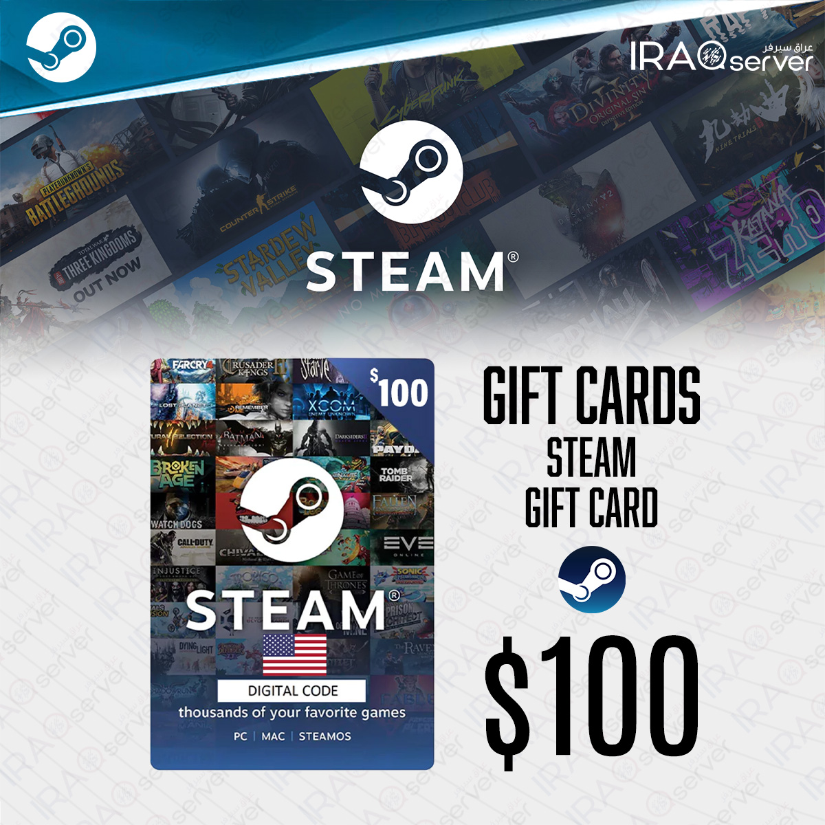 Steam Cards 100$ (USA)