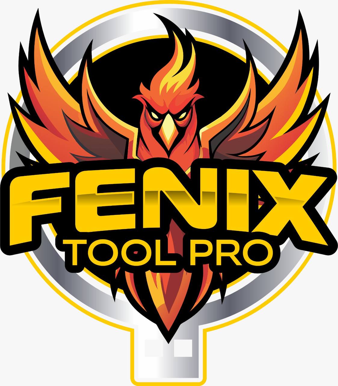 ⚡️Fenix Tool Pro 1 Month Activation