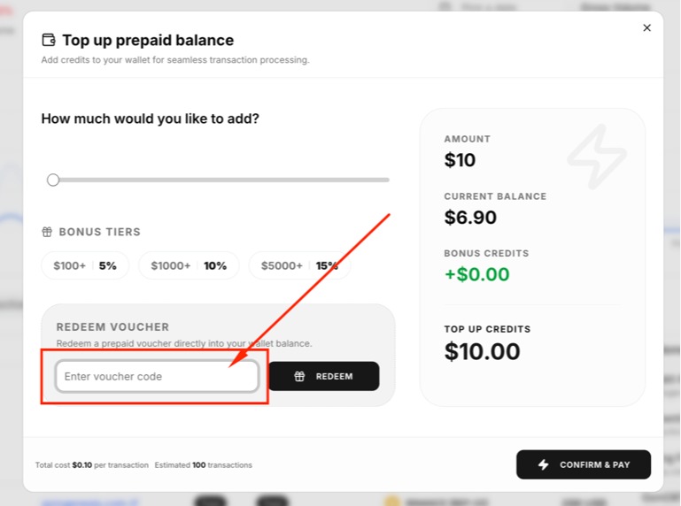 PayerOne Wallet Credit Screenshot
