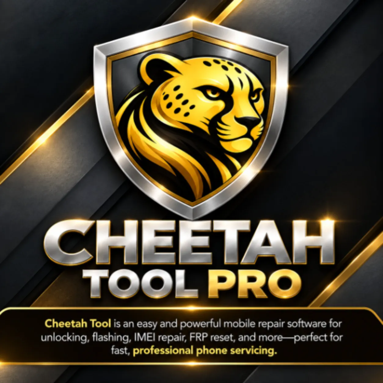 Cheetah Tool Pro Activation (12 Months)