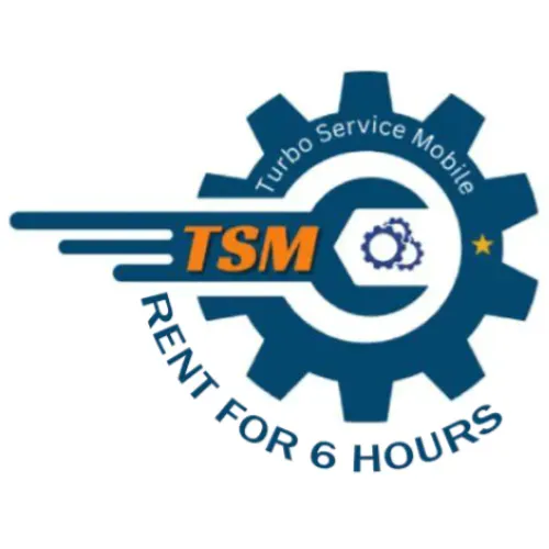 TSM TOOL - 1 Year 1 Pc [AUTO API] - ( Copy )