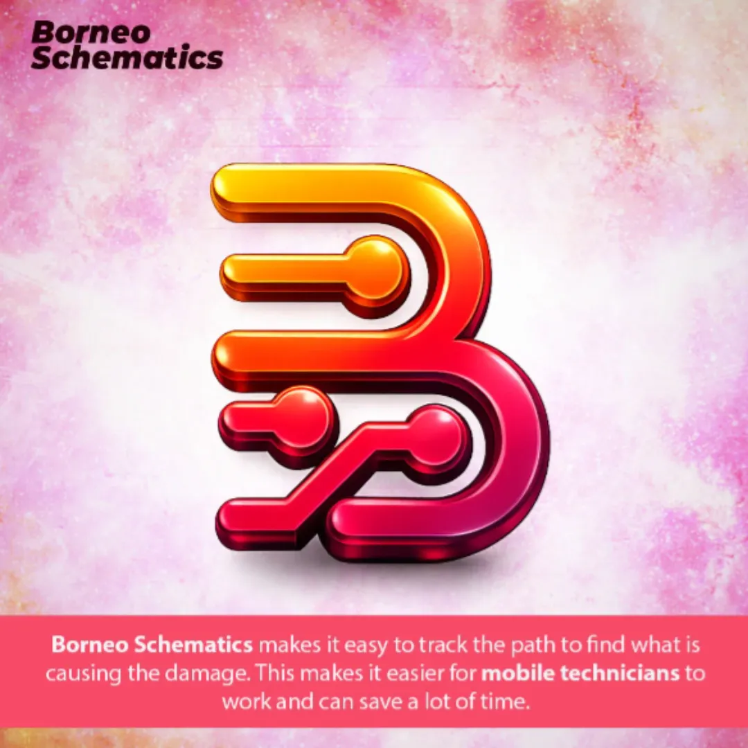 Borneo Schematics 1 User (3 Months) Activation/Renew Code⚡