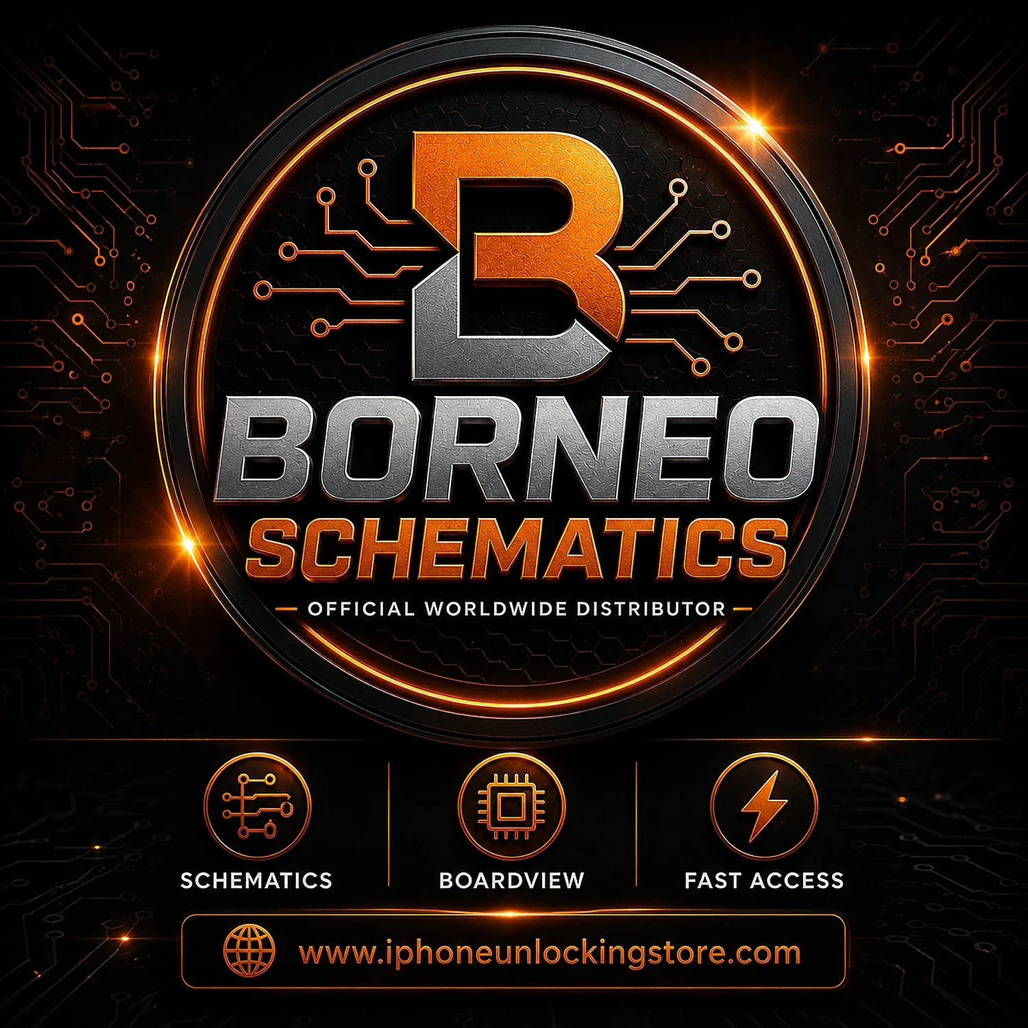 Borneo Schematics 1 user 1 Year Activation/Renewal code
