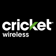 Cricket Status & Eligiblility Checker - Fully Automated Instant