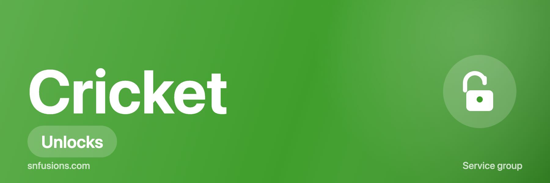 Usa Cricket Network