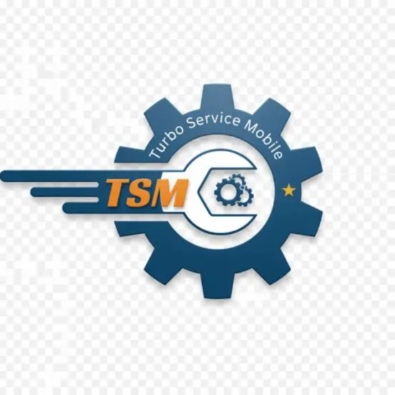 TSM-TOOL Pro 6 Months