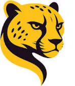 Cheetah Tool PRO Activation [6 Months]
