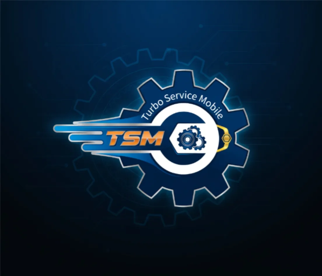 TSM Tool Pro 6 Months Activation 1 Pc