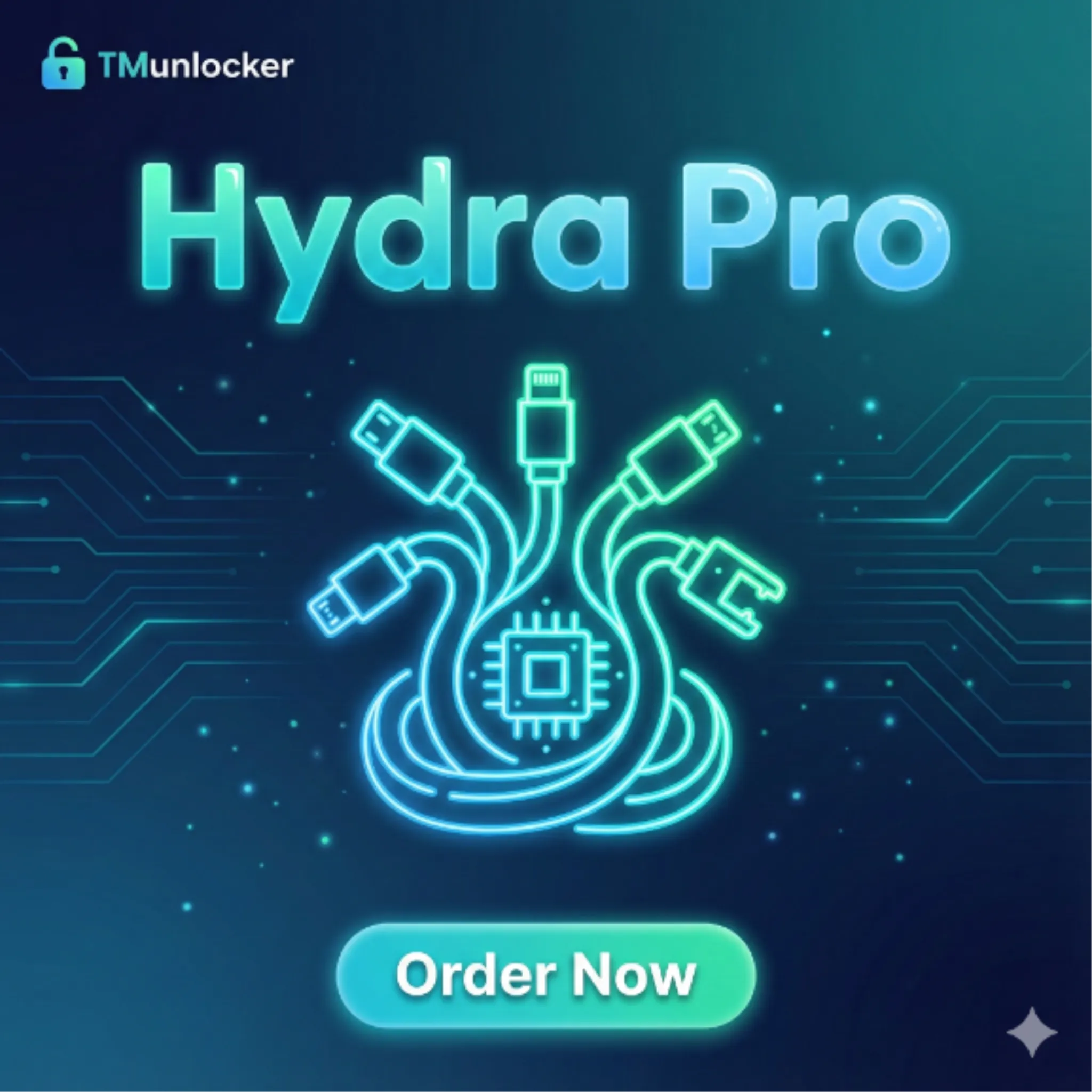 Hydra Online Activation 12 Months