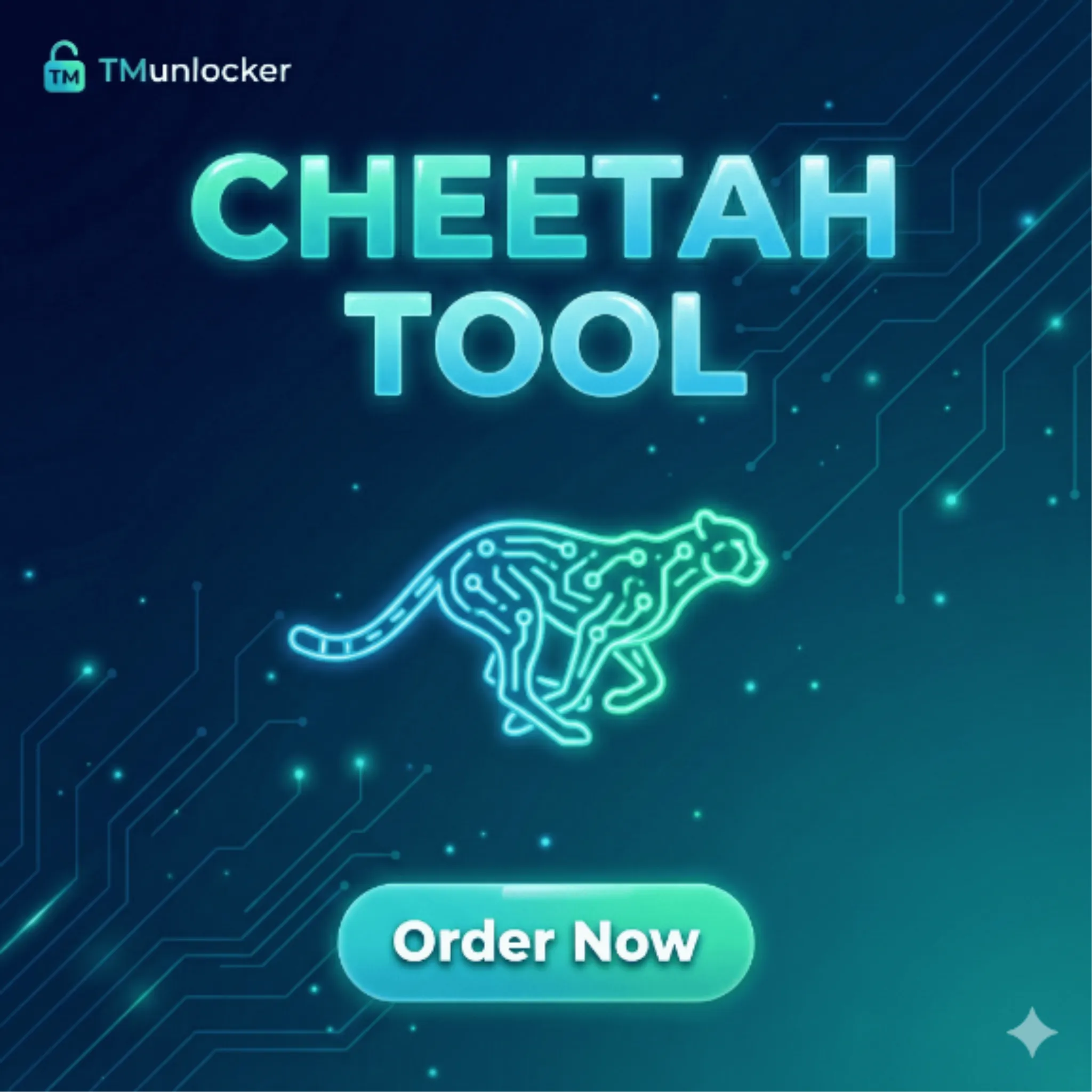 Cheetah Tool Pro Activation 12 Months